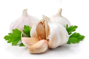 Ăn tỏi hôi miệng khiến nhiều người cảm thấy khó chịu